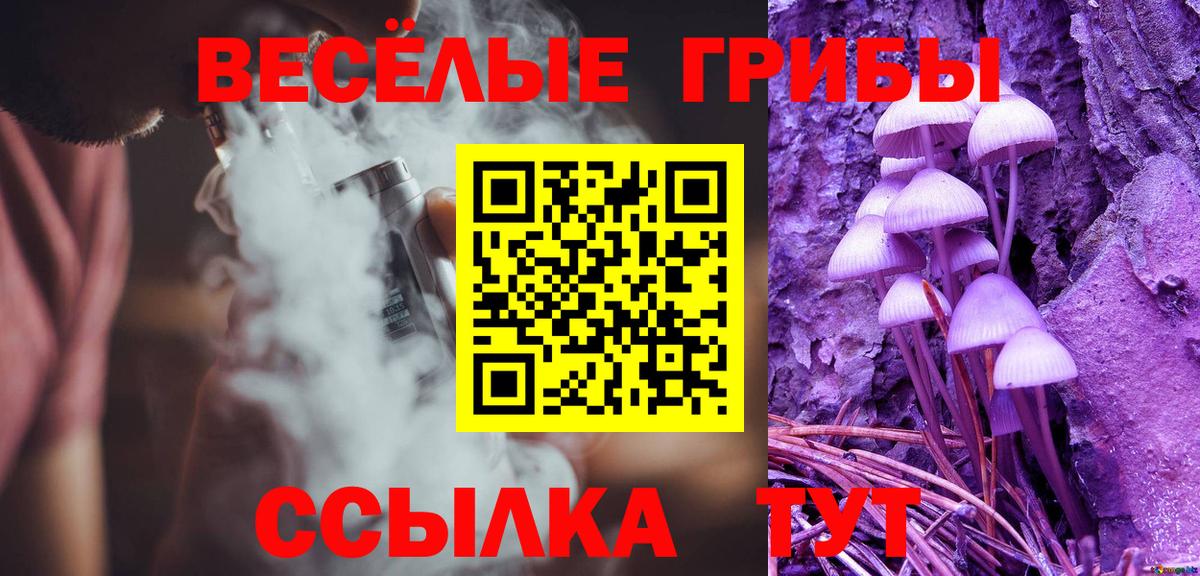 Галлюциногенные грибы прущие грибы Сыктывкар