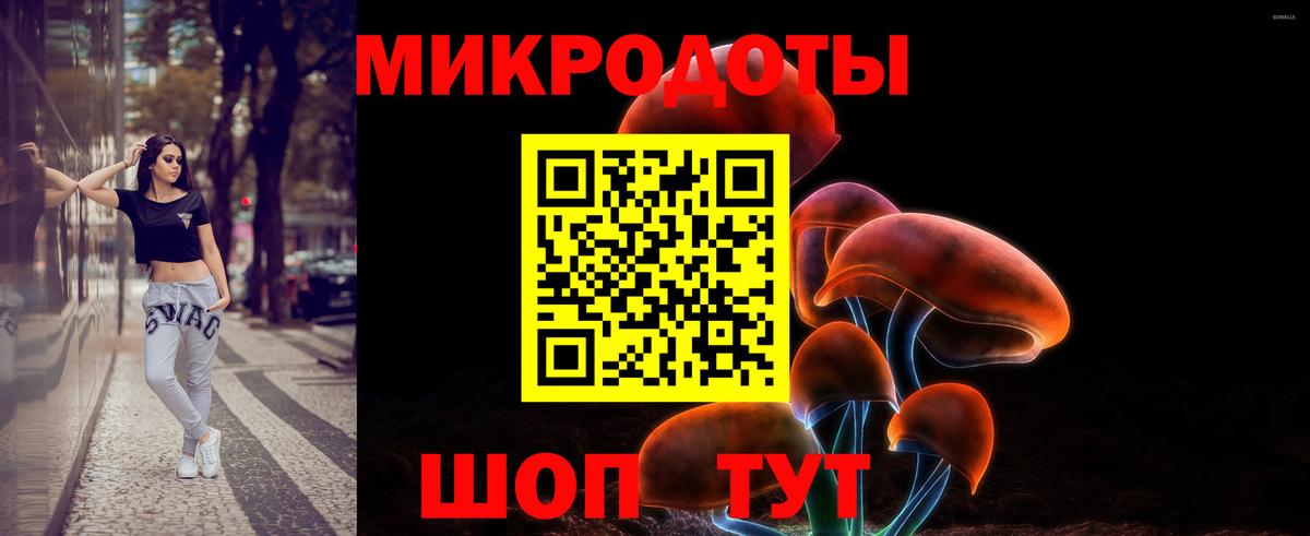 Псилоцибиновые грибы Psilocybine cubensis  Вход с VPN  Сыктывкар 