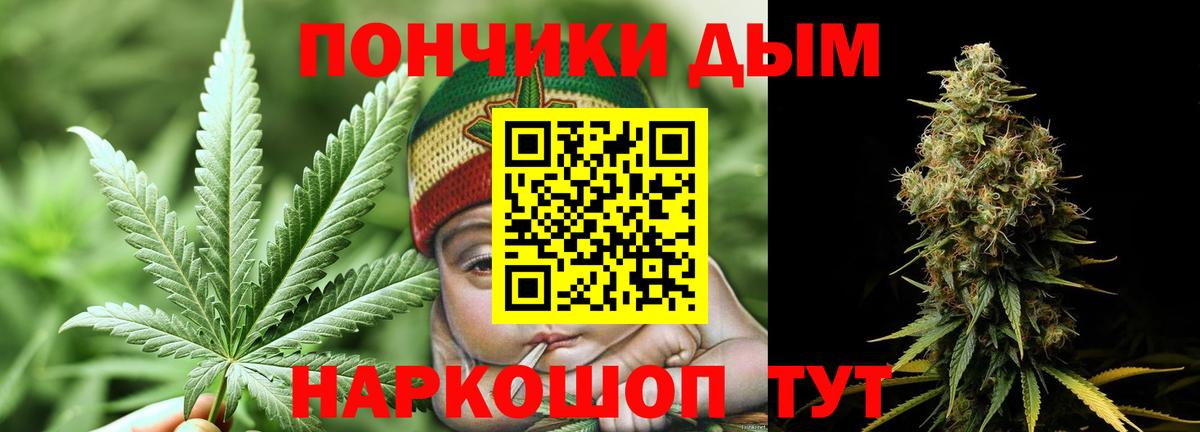 Бошки марихуана план Сыктывкар